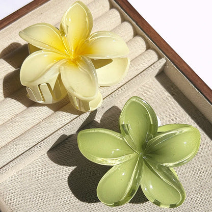 2-Piece Bohemian Flower Hair Claw Clip Set – Egg Flower Barrette for Women & Girls