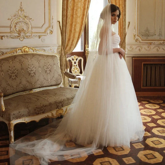 Cut Edge Cathedral Wedding Veil with Comb 3M