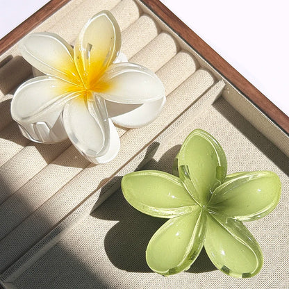 2-Piece Bohemian Flower Hair Claw Clip Set – Egg Flower Barrette for Women & Girls